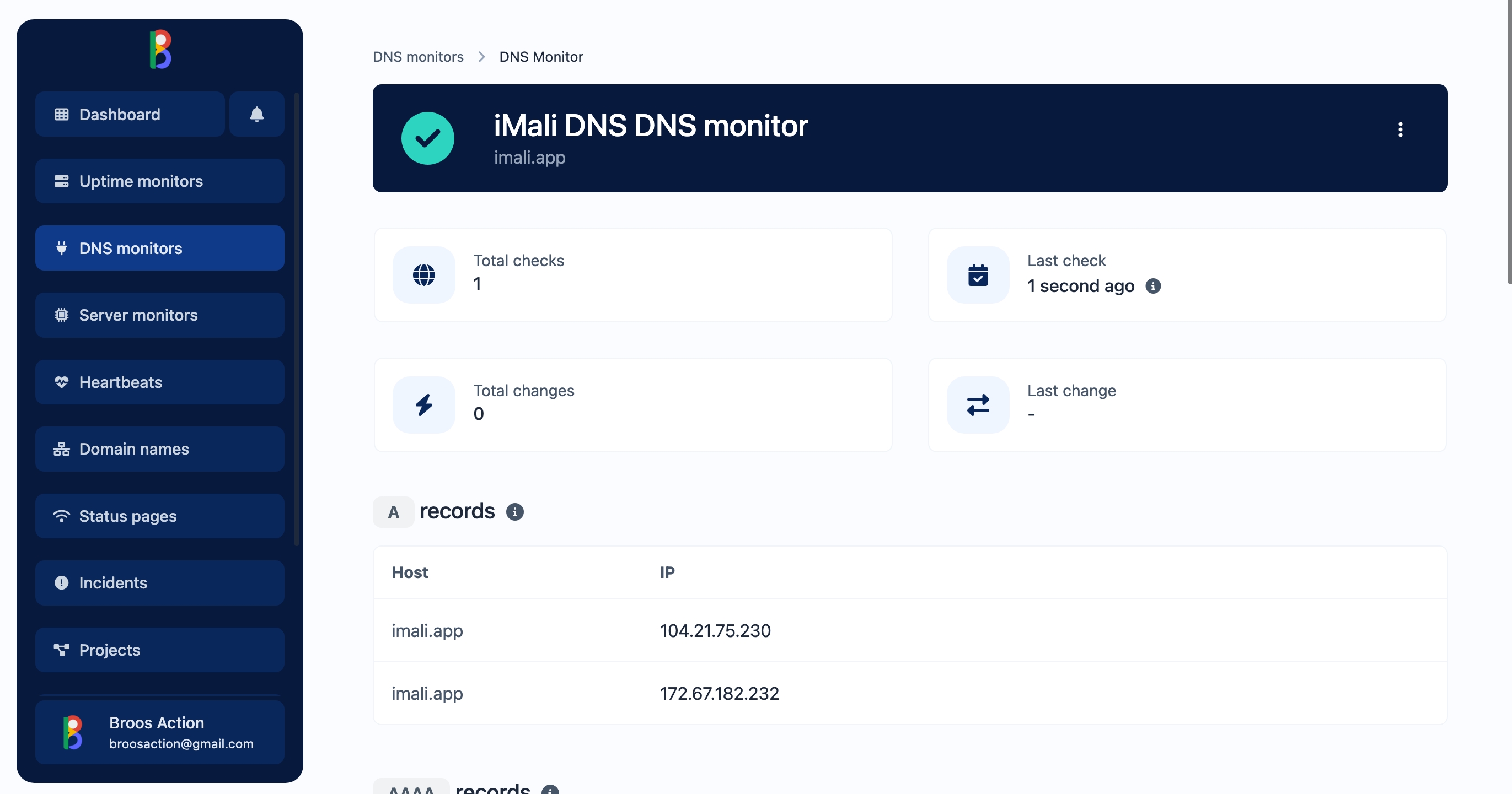 Screenshot of the app DNS monitor page